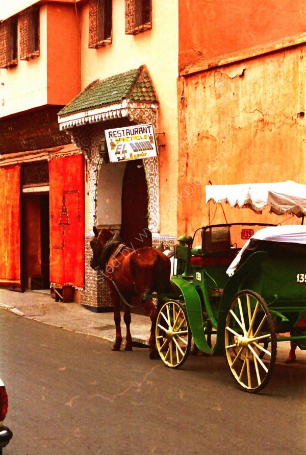 Horse & Carriage outside Restaurant El Bahia, Marrakech
